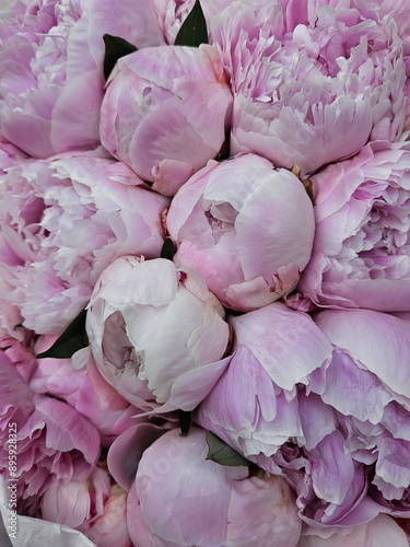a bouquet of peonies