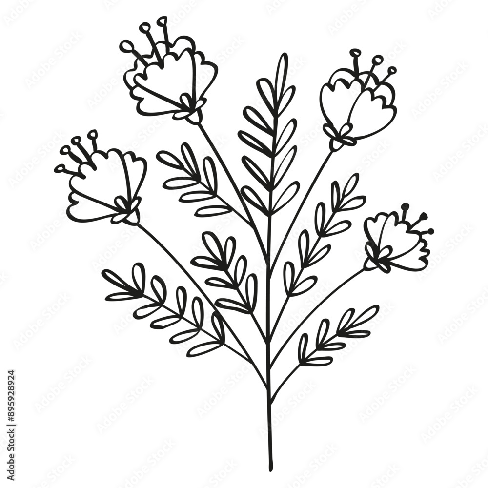 Autumn summer twig sprout of a wild plant with flowers stamens and leaves in one black line outline for a decorative pattern. Flat doodle style. Vector illustration. Autumn summer twig sprout of a wild plant with flowers stamens and leaves in one black line outline for a decorative pattern. Flat doodle style. Vector illustration.