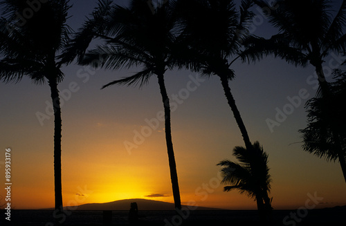 sunset in Maui Hawaii