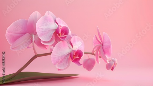 dark pink orchid flowers pink background