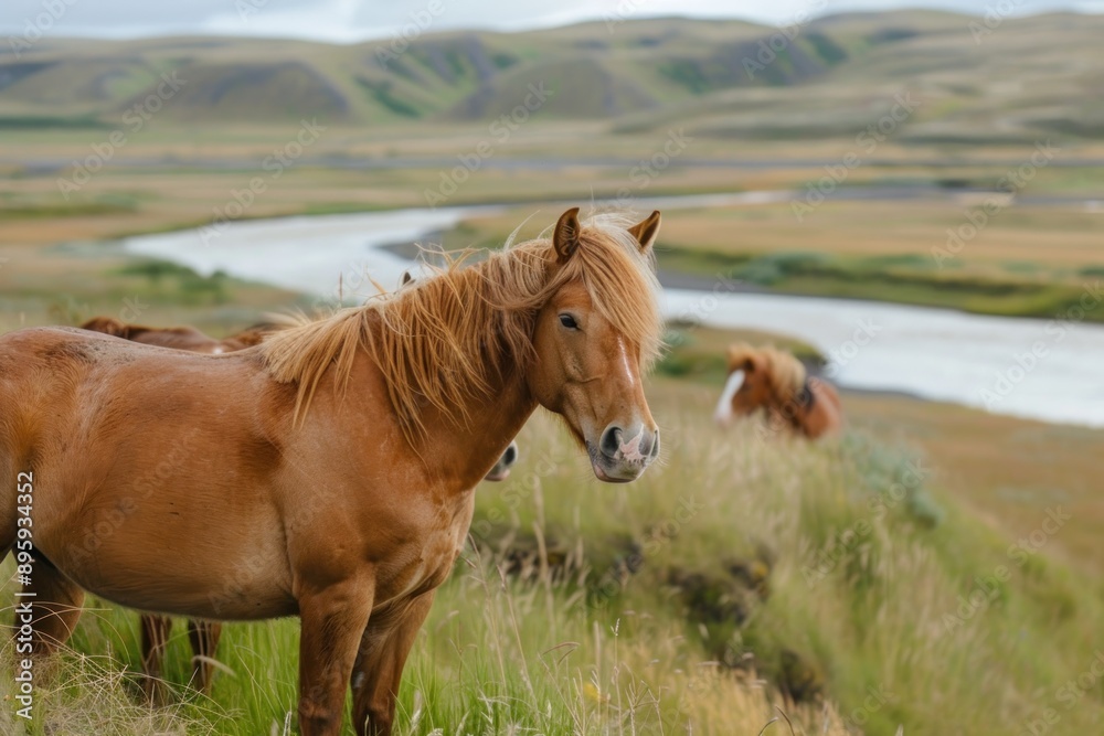 Fototapeta premium horses stand against a background of grassy hills and plains landscape