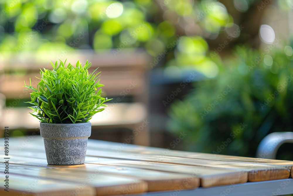 Serene Potted Plant On Wooden Table: Perfect For Home Decor, Wellness Blogs, Or Nature-Inspired Design Projects Serene Potted Plant On Wooden Table: Perfect For Home Decor, Wellness Blogs, Or Nature-Inspired Design Projects
