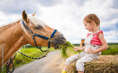 in a beautiful summer season of a young girl and horse in a field