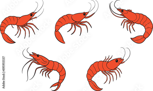 Colorful shrimp vector art illustration with a white background