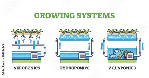 Aquaponics, hydroponics and aeroponics as growing systems outline diagram, transparent background. Labeled list with various plant growth techniques illustration. Greenhouse agriculture methods.
