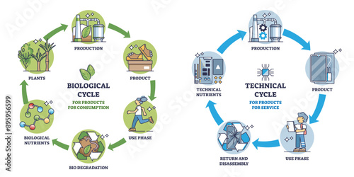 Cradle to cradle as sustainable and environmental life cycle outline diagram, transparent background. Labeled educational scheme with manufacturing and production system for recycling.