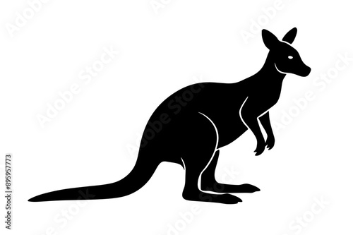 A Wallaby animal vector illustration