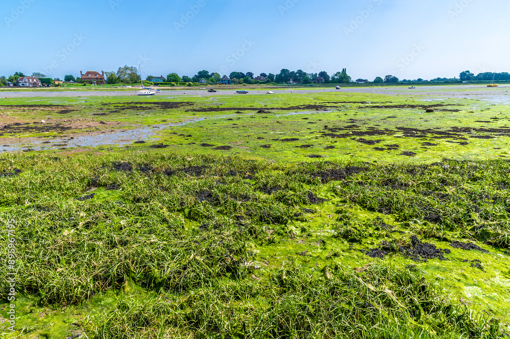 A view across the Bosham Stream at Bosham, West Sussex at low tide in summertime A view across the Bosham Stream at Bosham, West Sussex at low tide in summertime