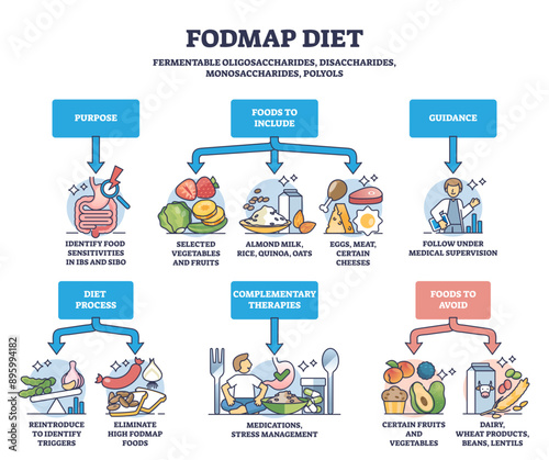 Fodmap diet as recommendations for irritable bowel syndrome outline diagram, transparent background. Labeled educational eating habits suggestion and guidance for patient.