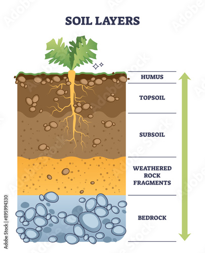 Soil layers with geological ground structure and materials outline diagram, transparent background. Labeled educational scheme with land cross section illustration. Humus, topsoil, subsoil.