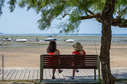 Andernos (bassin d'Arcachon, France). Banc public à l'ombre d'un tamaris au bord de la plage à marée basse