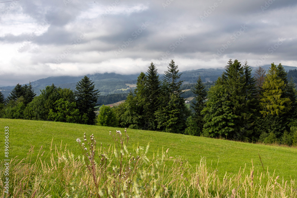 Obraz premium View of meadow and trees with misty hills in the background
