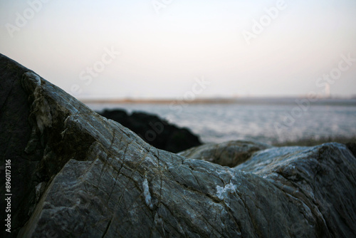 View of the wetland at the seaside in late afternoon photo