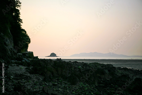 View of the wetland at the seaside in late afternoon photo