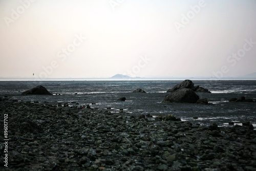 View of the wetland at the seaside in late afternoon photo