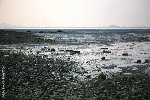 View of the wetland at the seaside in late afternoon photo