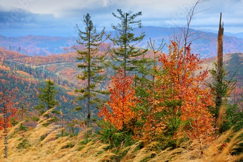 Fototapeta Naklejka Na Ścianę i Meble -  Beskidy mountains in autumn in Poland. Nature in Poland.