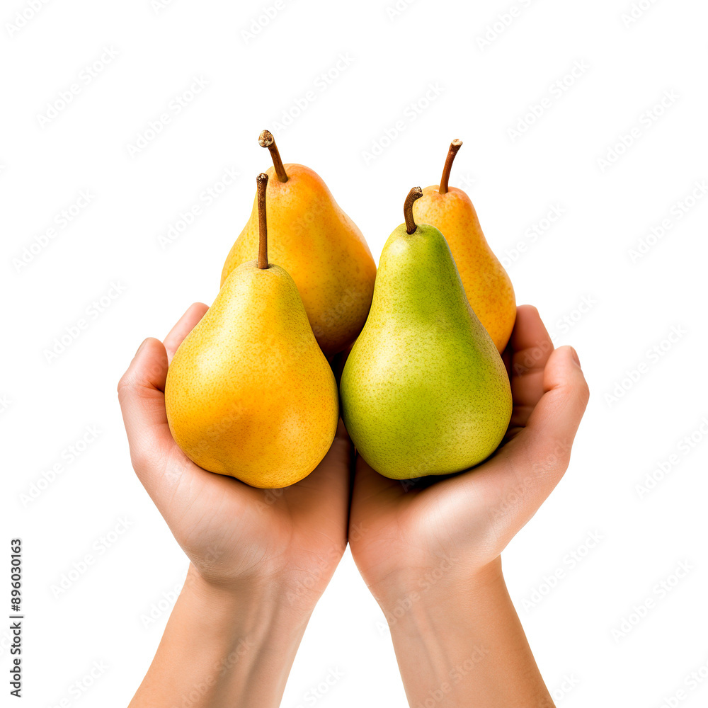Hands holding pears over isolated transparent background Hands holding pears over isolated transparent background