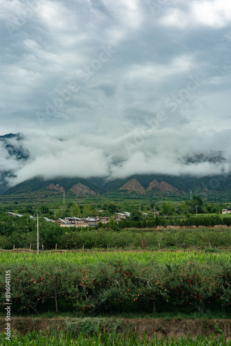 Rural grassland scenery of Taiyuan, Shanxi, with blue sky, white clouds, and fields