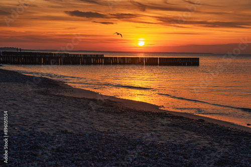 View of sand beach with wooden breakwaters on the Baltic Sea coast on sunset in Zelenogradsk. Russia
