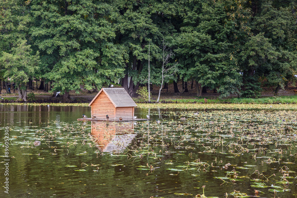 Pond in Local city park in Zelenogradsk. Russia