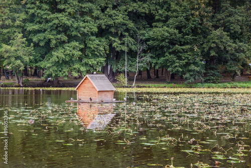Obraz na płótnie Pond in Local city park in Zelenogradsk. Russia w salonie