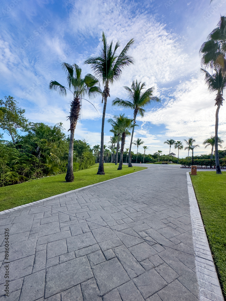 I walk between palm trees and tropical Caribbean vegetation, an ideal place for vacations and relaxing under a blue sky and warm sun in the heart of the Riviera Maya. I walk between palm trees and tropical Caribbean vegetation, an ideal place for vacations and relaxing under a blue sky and warm sun in the heart of the Riviera Maya.