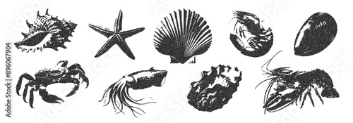 Trendy collection of marine elements with a photocopy effect. Vector illustration of stickers with shells, starfish, shrimp, scallop, squid in a halftone design for a banner or poster.
