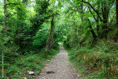 senda verde de delika, Vitoria, País Vasco photo