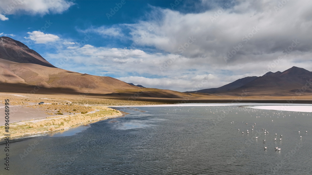 Aerial view of flamingos in desert lake with mountain backdrop, San Pedro de Quemes, Potosi, Bolivia. Aerial view of flamingos in desert lake with mountain backdrop, San Pedro de Quemes, Potosi, Bolivia.