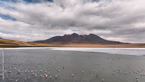 Aerial view of remote lake with flamingos, mountain, and clouds, San Pedro de Quemes, Potosi, Bolivia. photo