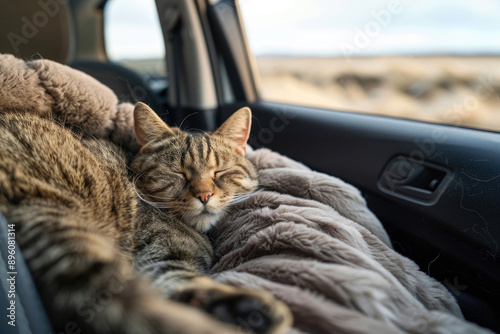 A cat lounging in a cozy car seat on a road trip