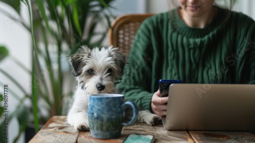 A puppy and a laptop photo