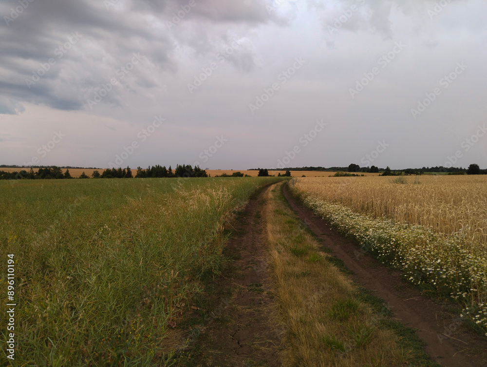 Dirt Road Through Fields Under Cloudy Sky Dirt Road Through Fields Under Cloudy Sky