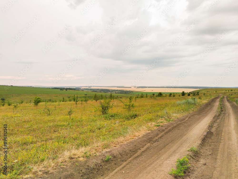 Dirt Road Through Field Under Cloudy Sky
