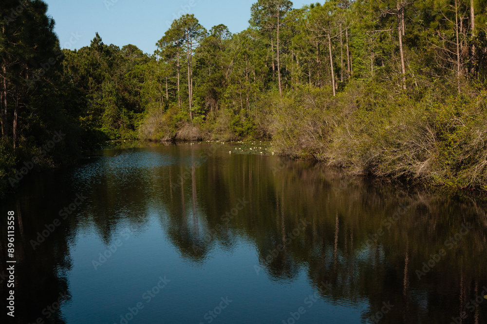 Obraz premium The morning sun is just starting to light the small quiet pond within Topsail Hill Preserve State Park, Santa Rosa Beach, Florida in mid-April