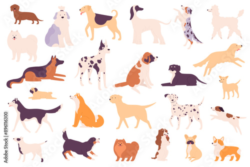 Simple dogs. Different dog breeds including a Shiba Inu, Poodle and Bulldog, Shih Tzu and Chow Chow, Dachshund and Wiener, German Shepherd and Labrador vector puppy pets set isolated.