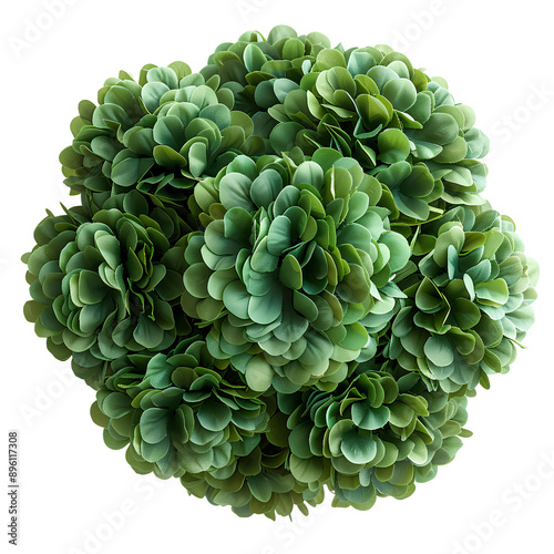 green bush like flower png. exquisite green flower top view png photo