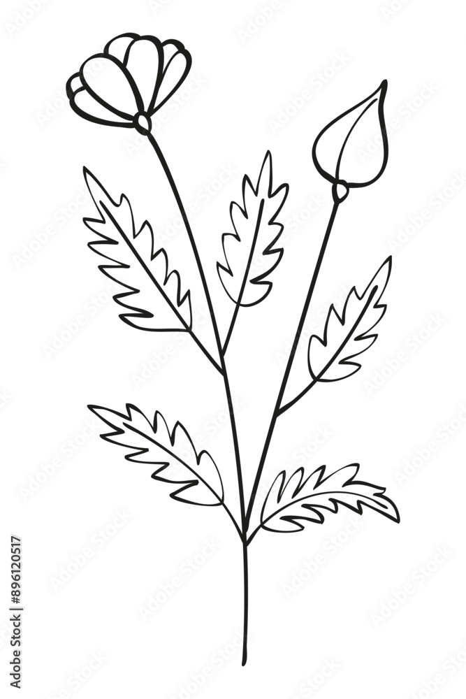 Autumn summer twig wild flower sprout plant with flower and jagged leaves one black line outline for decorative pattern. Flat doodle style. Vector illustration. Autumn summer twig wild flower sprout plant with flower and jagged leaves one black line outline for decorative pattern. Flat doodle style. Vector illustration.