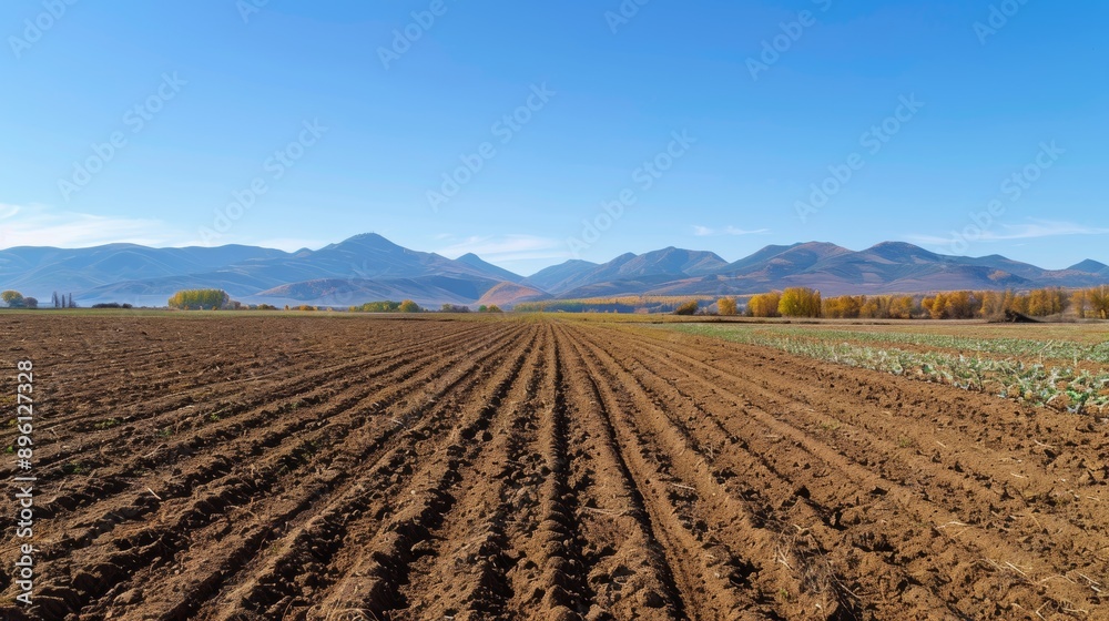 Scenic Panorama of Minimum Tillage Field with Mountain and Clear Blue Sky Background for Agricultural Prints Scenic Panorama of Minimum Tillage Field with Mountain and Clear Blue Sky Background for Agricultural Prints
