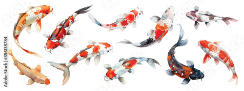 Set collection of Japanese koi fish river pond hand drawn watercolor design resources elements