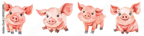 Set collection of cute little pink newborn baby pigs hand drawn watercolor design resources elements