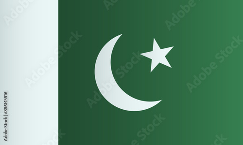 Pakistan national flag. Vector illustration