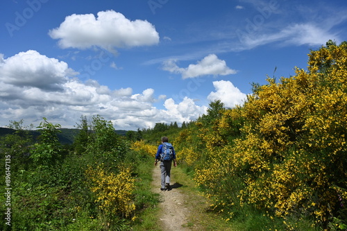 Wanderer bei Kirchen an der Sieg