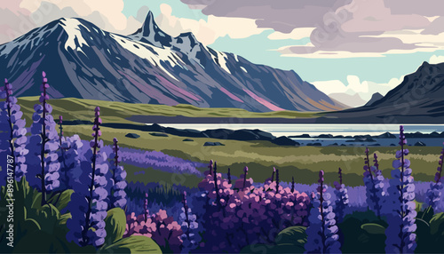Beautiful landscape of blooming lupine flowers Iceland 4
