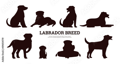 Set of black silhouettes of labrador dogs in different poses flat style