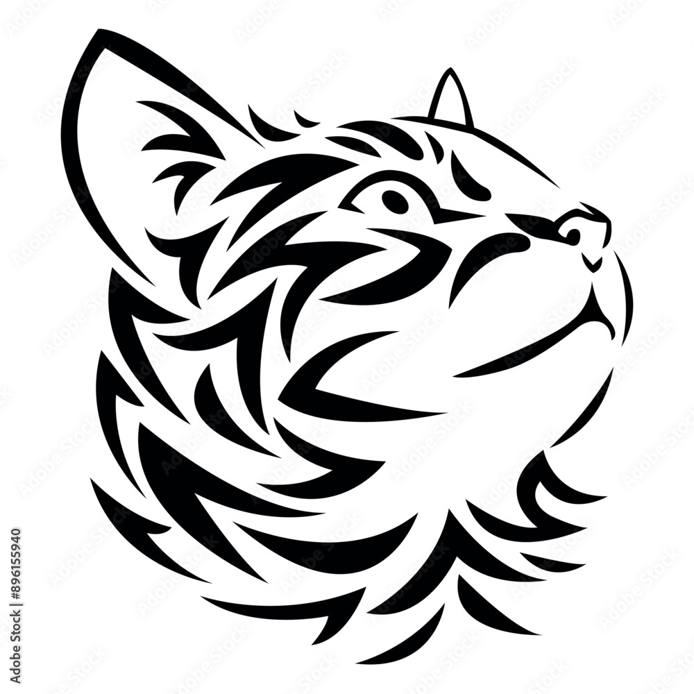 Fototapeta premium Tiger cat