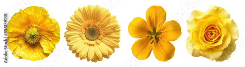 Yellow flower png cut out element set #896159138