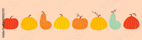  Set of simple autumn pumpkin. Hand drawn pumpkin squash in warm natural fall colors isolated on white. Vector illustration - autumn themes, Halloween, Thanksgiving design elements.
