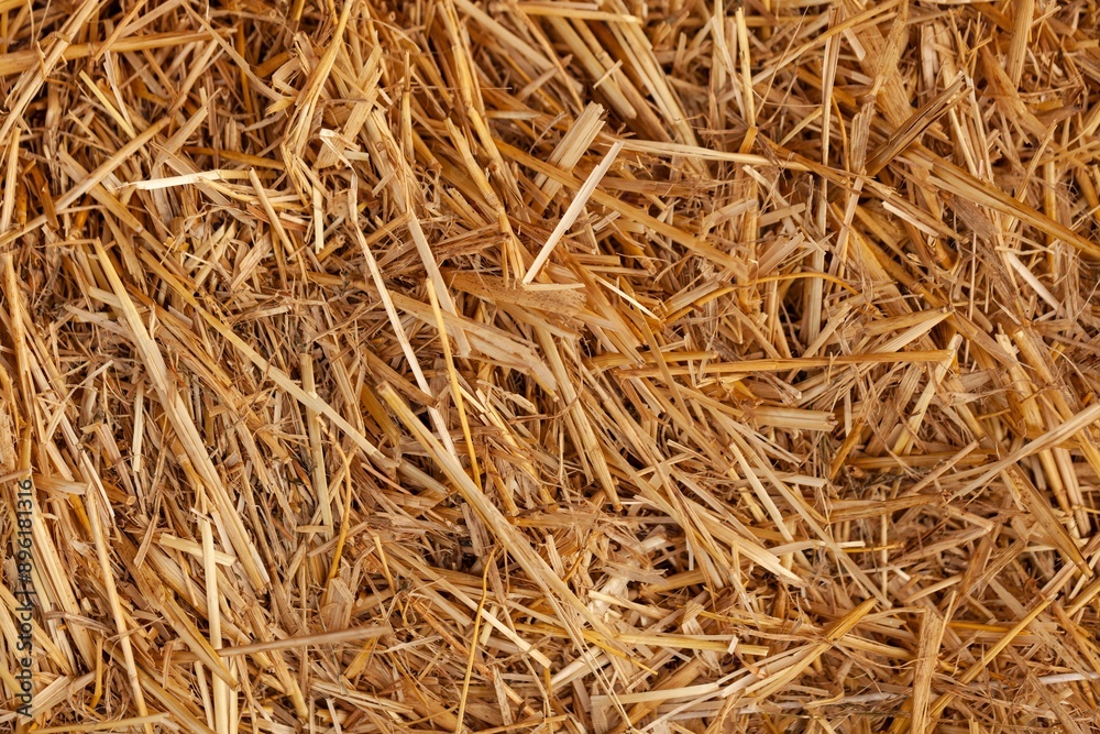Gold wheat haystacks texture background. Gold wheat haystacks texture background.